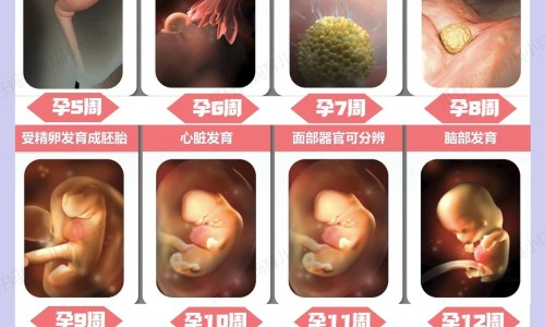 肝硬化 身上长红色的吗网肝硬化身上长疙瘩图知识网站,分享肝硬化身上出现红痣大全